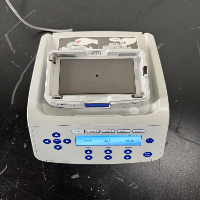 Eppendorf ThermoMixer C image 3